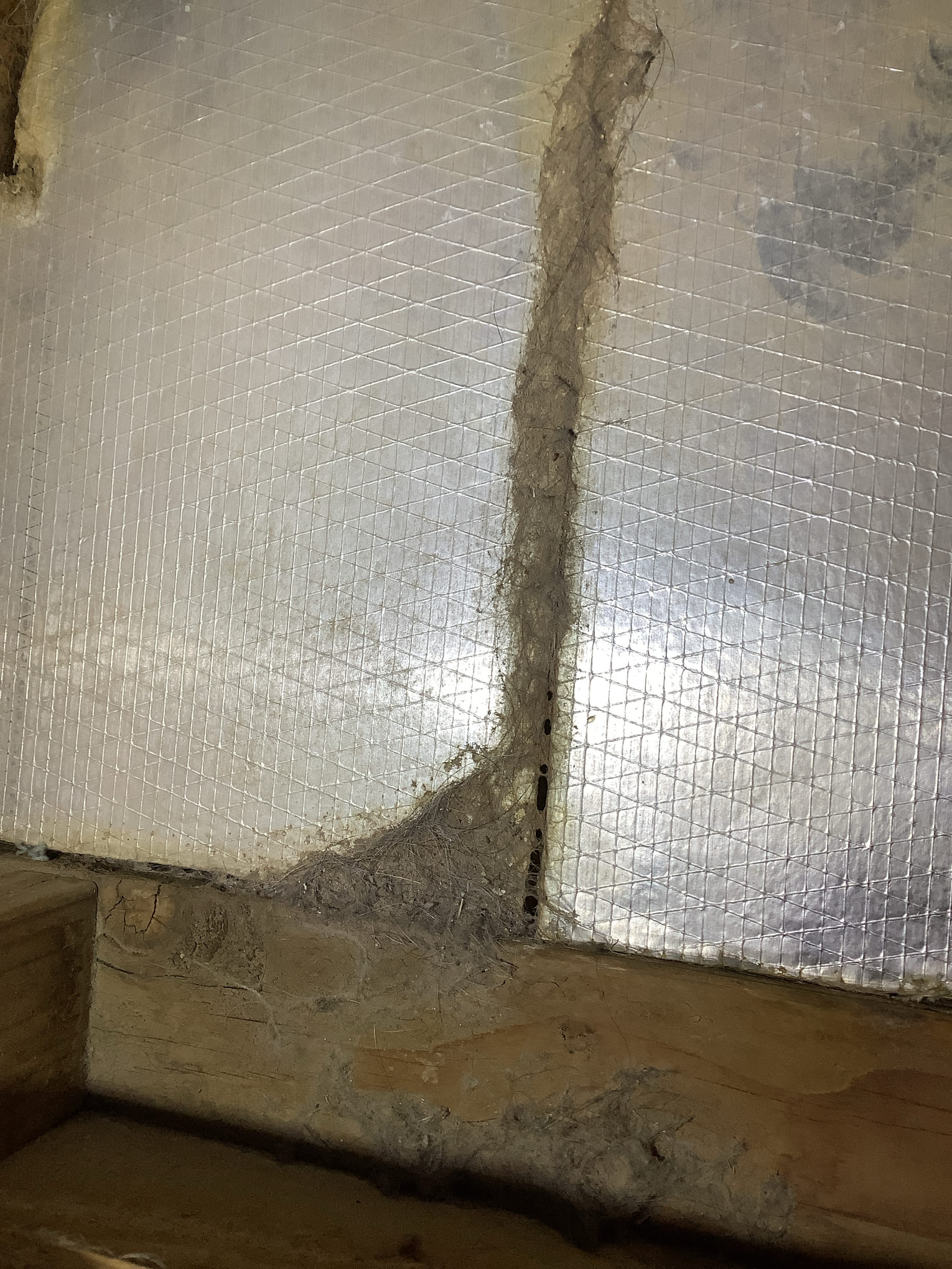 I am a highly skilled home service professional who recently completed a job in Alaska. The job involved removing a large tree from a client's property. The tree was located in a difficult-to-reach area and had grown to be quite large, making it a challenging task.

To begin, I assessed the tree and determined the best way to remove it. I used a chainsaw to cut the tree into smaller pieces, which were then loaded onto a truck and transported to a nearby landfill. The job took several hours, but I was able to complete it without any accidents or injuries.

One of the most challenging aspects of the job was the weather. Alaska is known for its extreme weather conditions, and the day I was working was no exception. The temperature was below freezing, and there was a strong wind blowing. This made it difficult to work safely and efficiently.

Despite the challenges, I was able to complete the job successfully. The client was pleased with the results, and I was proud of my work. I am gratef