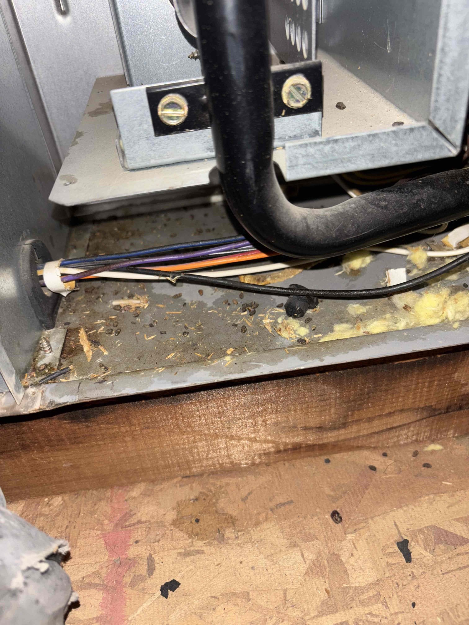 I was called to a home to perform a diagnostic on a furnace. Upon arrival, I checked the furnace's electrical connections, gas pressure, and combustion analysis. I also checked the thermostat and blower motor to ensure they were working properly. After completing the diagnostic, I provided the homeowner with a detailed report of my findings and recommendations for any necessary repairs.