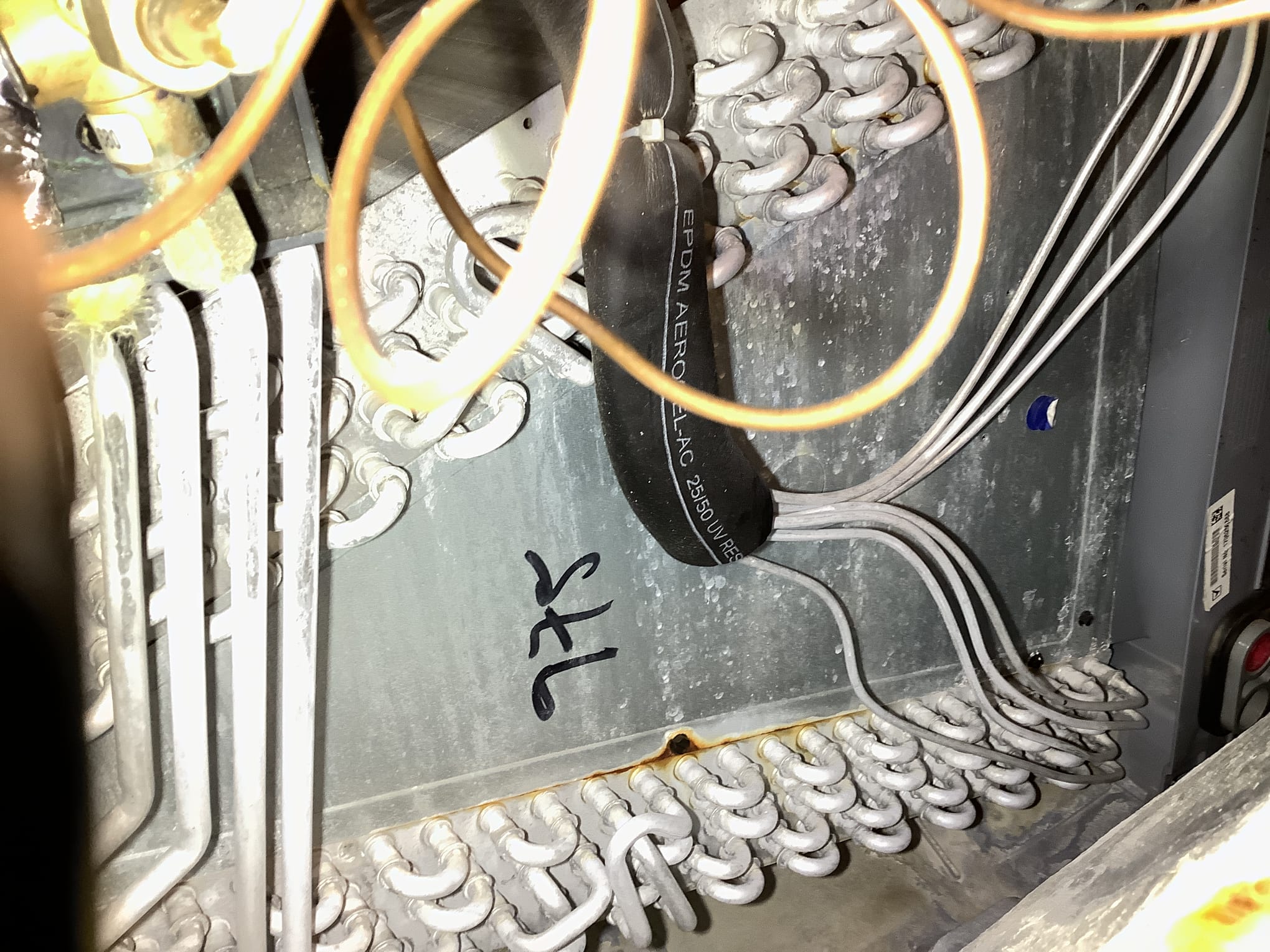 Winter Alaskafication.