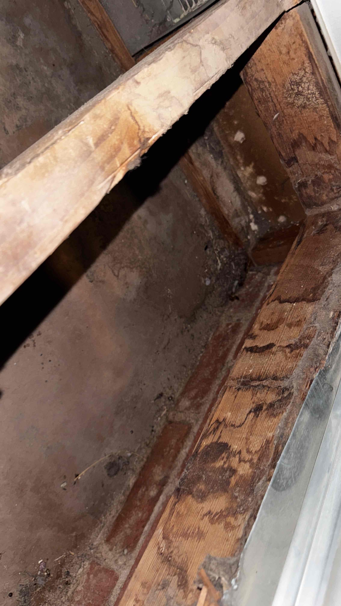 I carefully inspected the blower wheel, ensuring it was securely positioned. Using specialized tools, I gently pulled the wheel out of the furnace. Once removed, I meticulously cleaned the wheel, removing any dust, debris, and buildup. After cleaning, I inspected it for any damage and reassembled it, ensuring it was properly aligned and functioning efficiently. The furnace is now running smoothly, thanks to the thorough cleaning and maintenance.