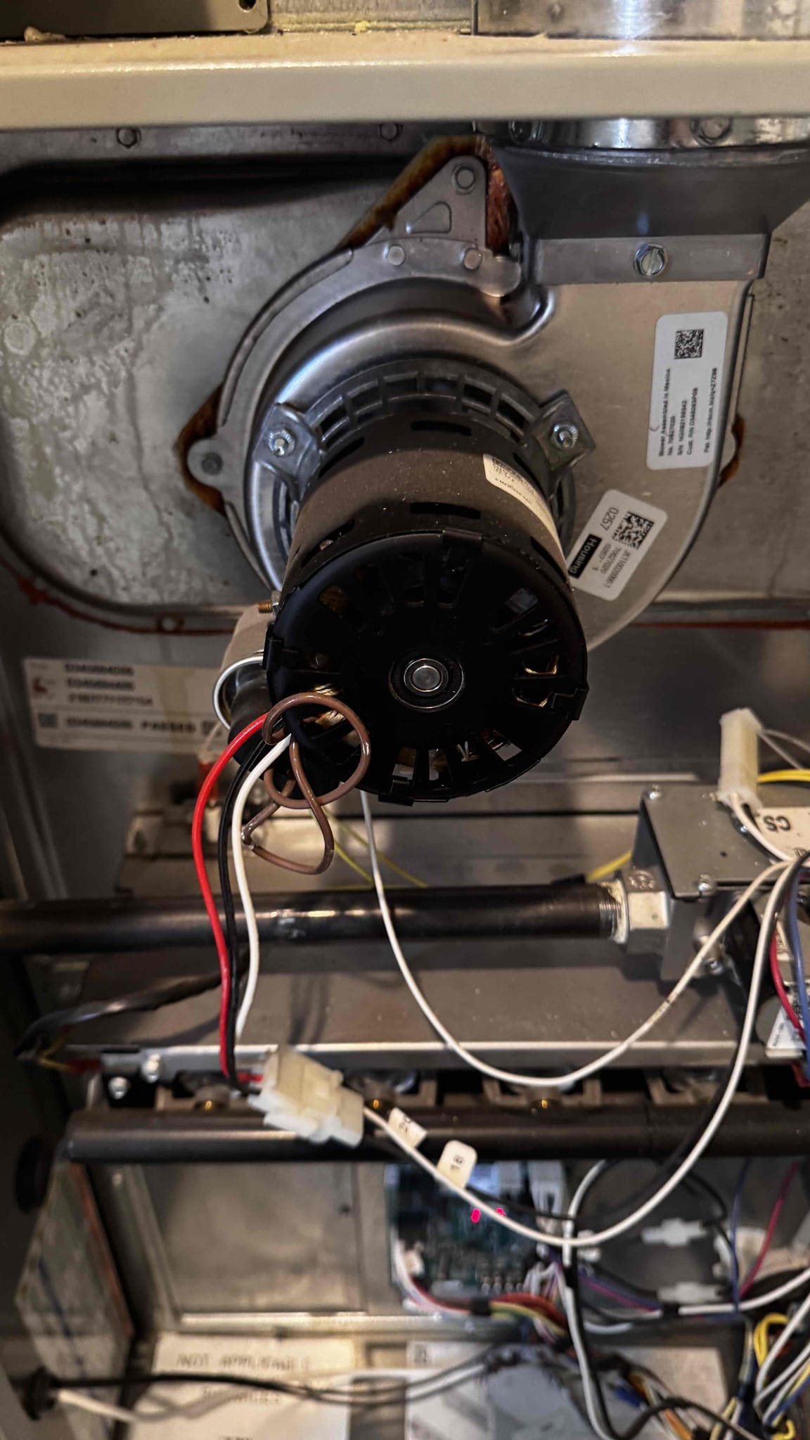 I installed a comprehensive surge protection system to safeguard the electrical appliances from power surges and voltage spikes. Additionally, I installed UV light fixtures to eliminate bacteria, viruses, and mold, ensuring a healthier environment. The surge protection devices were strategically placed to cover all critical circuits, while the UV lights were positioned to maximize coverage and effectiveness. This combination enhances both the safety and hygiene of the space.