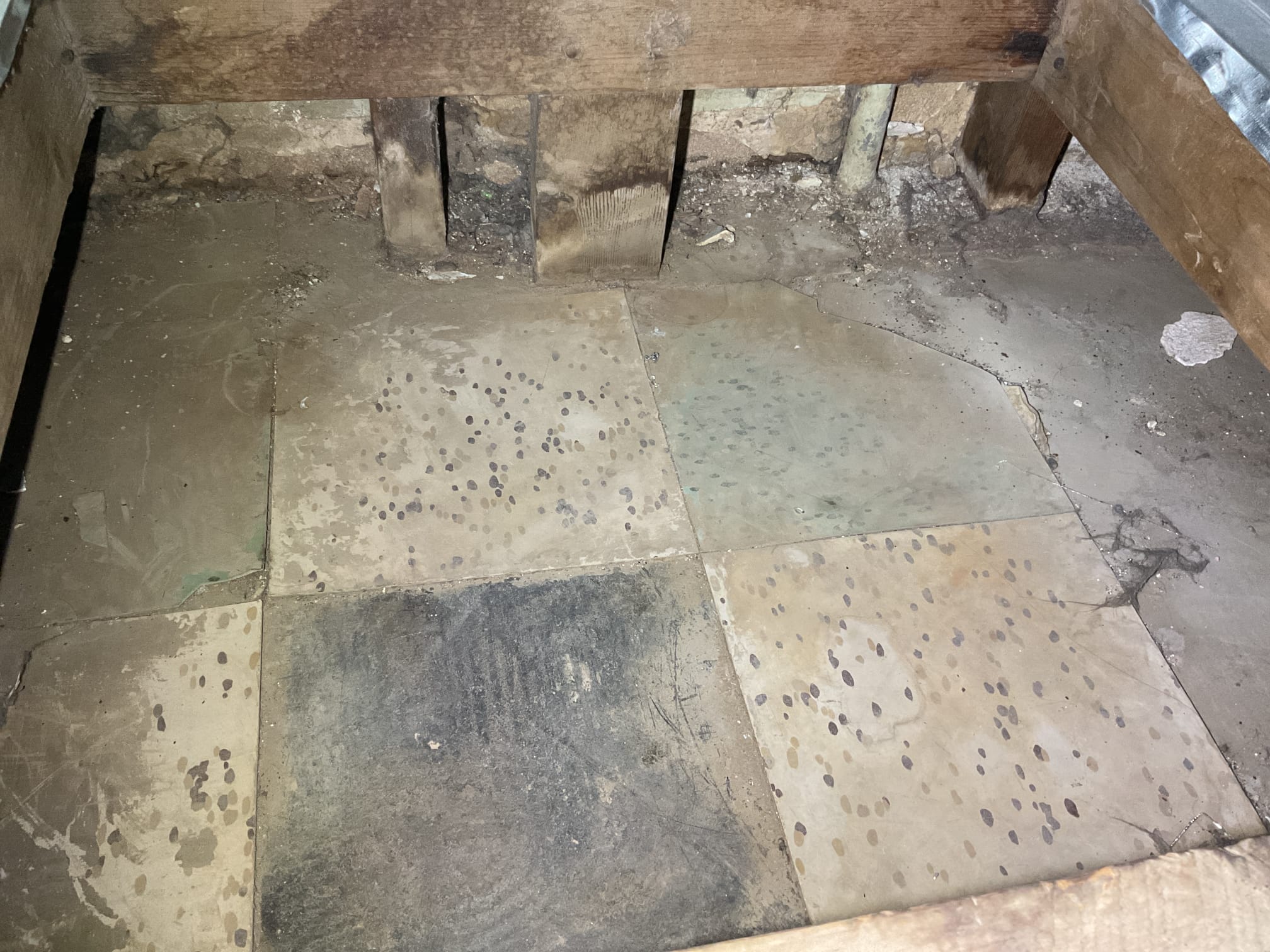 I meticulously transformed the space into a cozy winter haven. Insulation was enhanced to ensure optimal warmth, and heating systems were inspected and serviced for peak efficiency. Drafts were sealed, and windows were upgraded to double-glazed units to prevent heat loss. Additionally, I installed cozy, weather-appropriate decor and ensured all heating elements were functioning correctly. The result was a snug, inviting environment ready to withstand the harshest winter conditions.