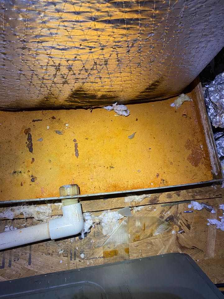 Rheem heat pump heat tune up inspection 