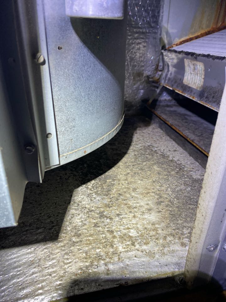 Rheem heat pump tune up inspection