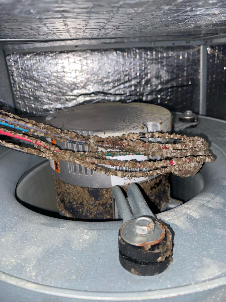 Daikin heat pump ac maintenance and whole home air cleaner installation