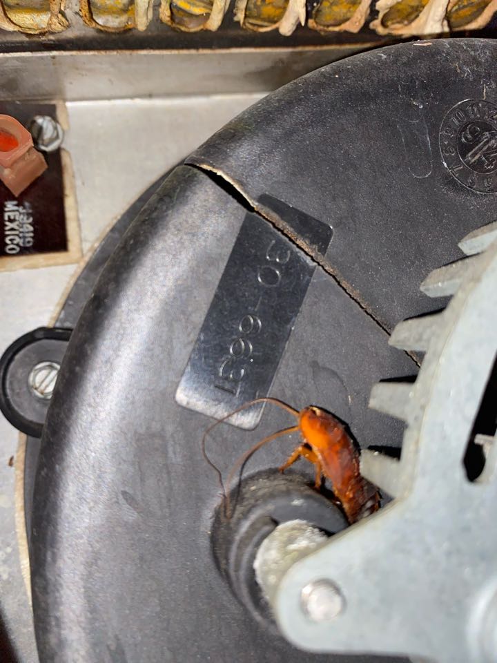 Rheem furnace no heat diagnostic 