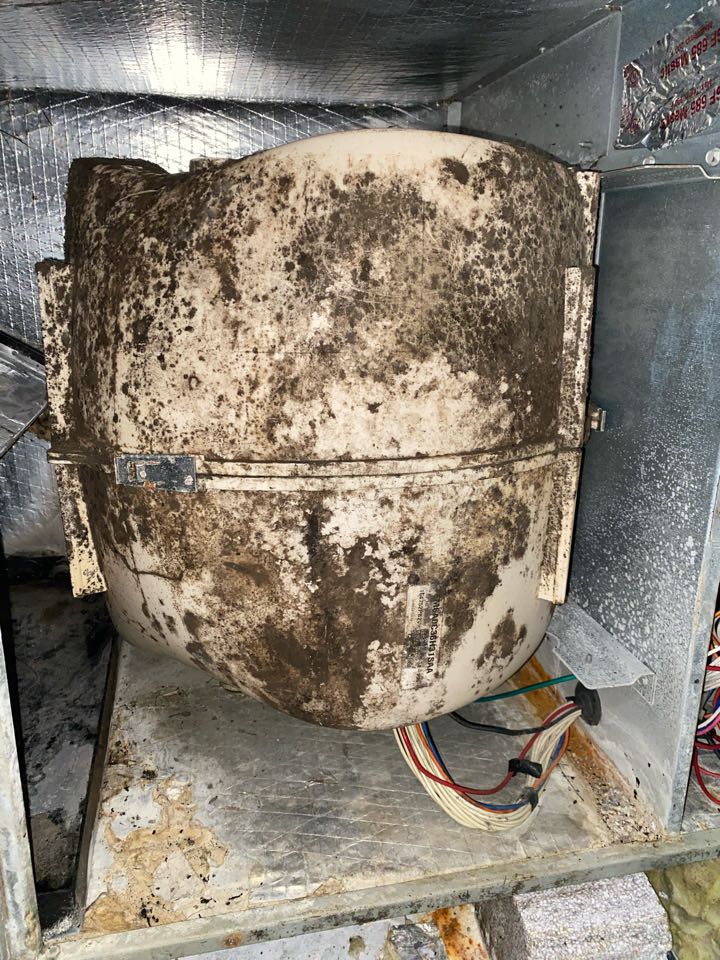 Trane air handler indoor air quality improvements 