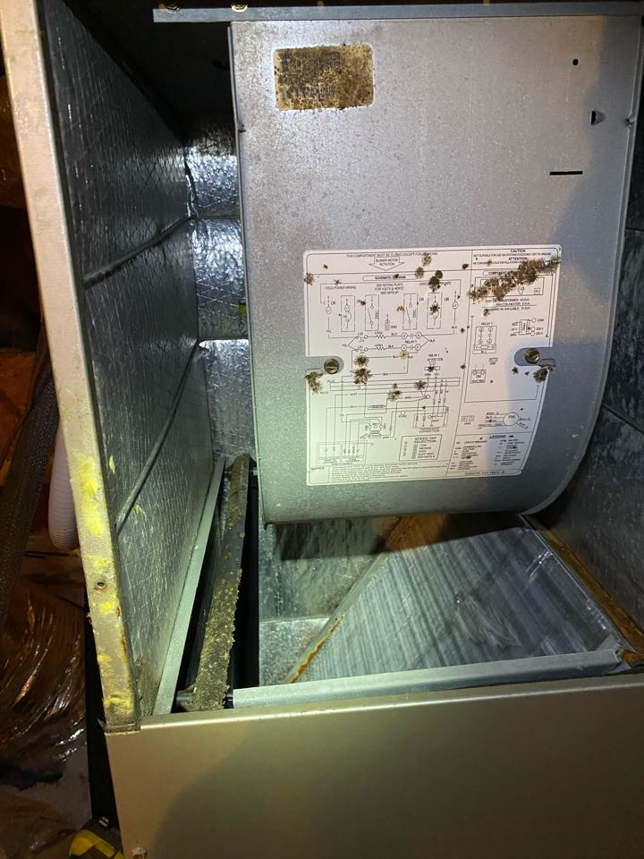 Carrier heat pump UV air cleaning system. 