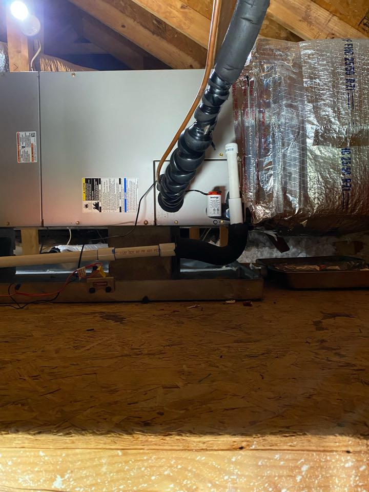 Carrier heat pump clogged drain line and dirty condenser