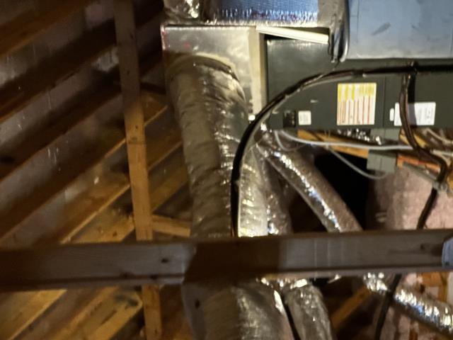 Baileys Diagnostic GOLD