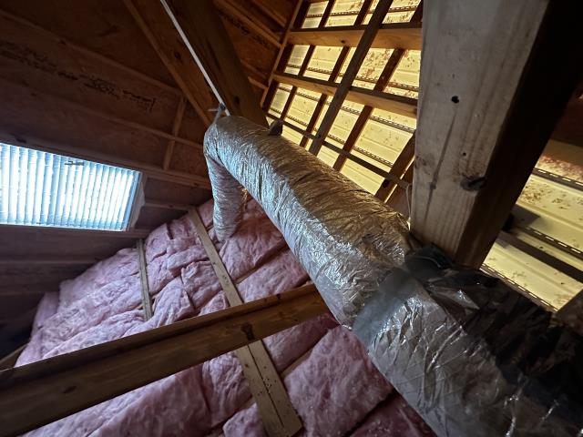 Baileys Diagnostic GOLD