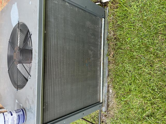 Cleanings 