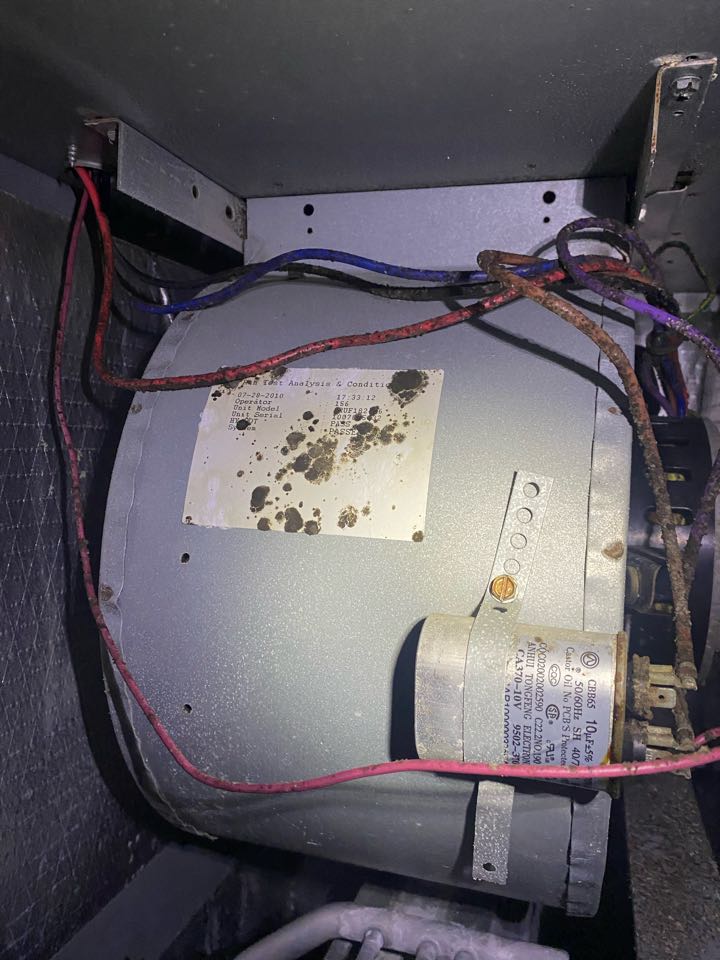 Heat tune up on two Goodman heat pump systems with upgraded air filtration options. 