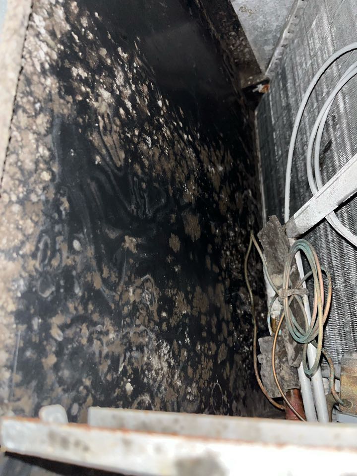 Carrier heat pump split air conditioning maintenance and indoor air quality improvement options. 