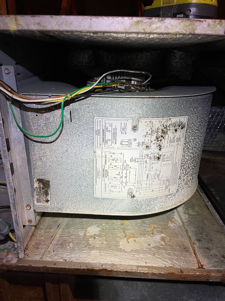 Carrier heat pumps heat maintenance 