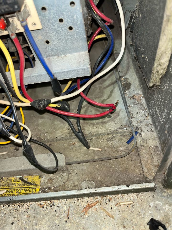 Payne air conditioning diagnostic, repair, replacement options. 