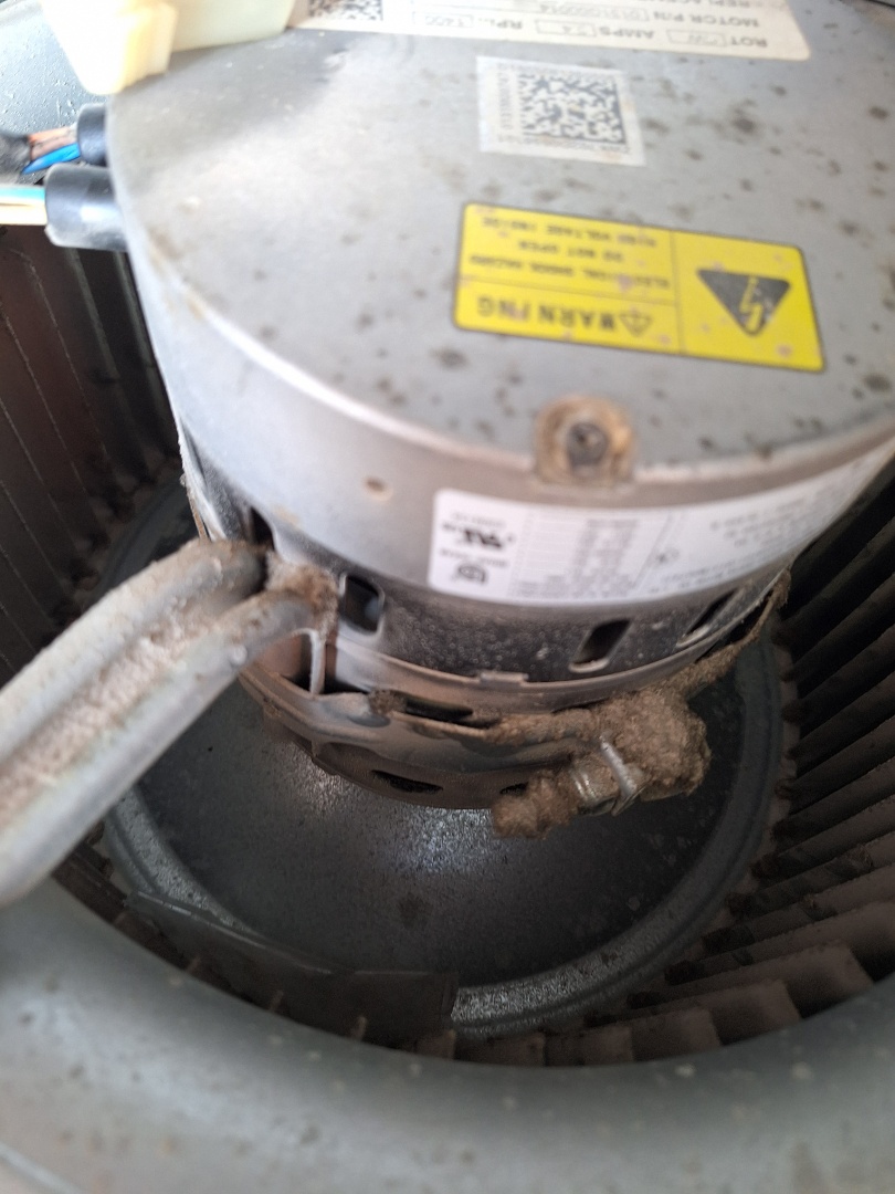 Goodman gas package unit heat maintenance. Baileys Comfort Services.