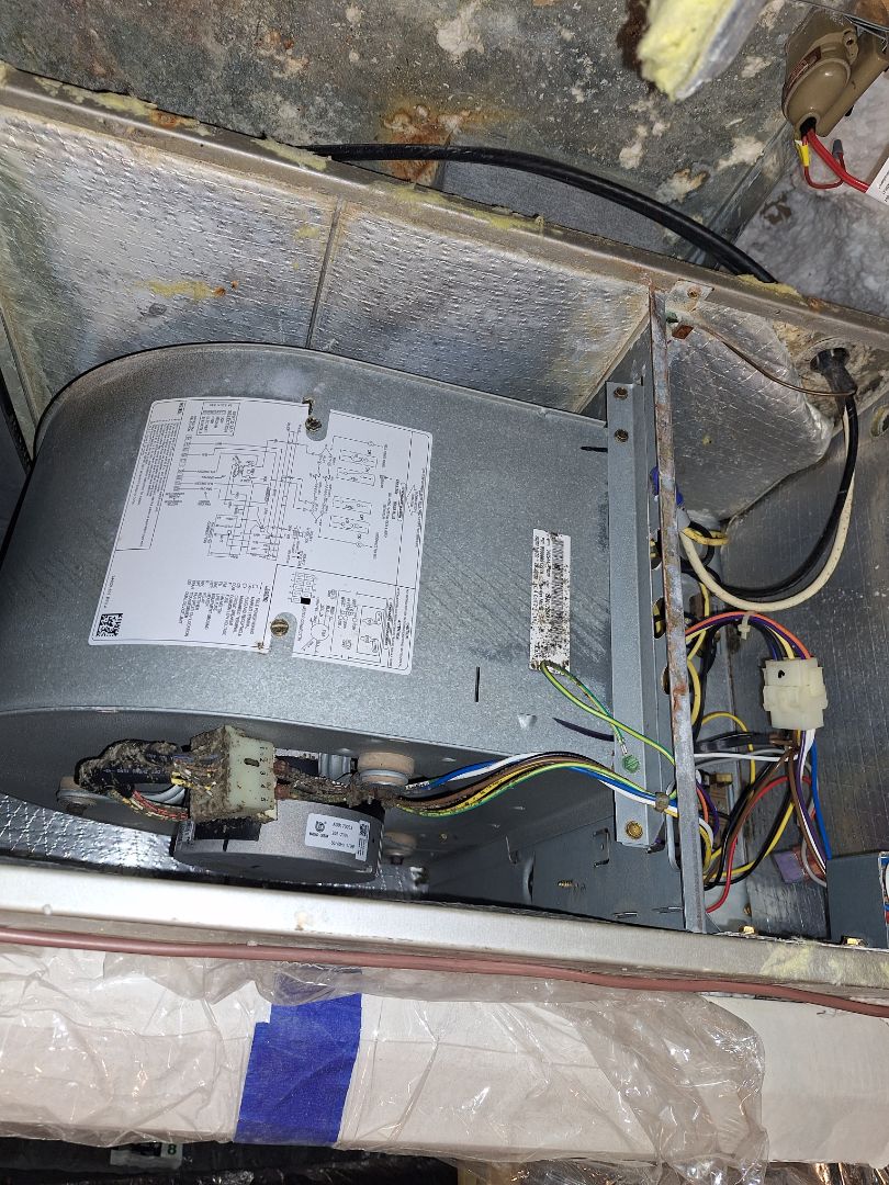 Carrier heat pump maintenance.