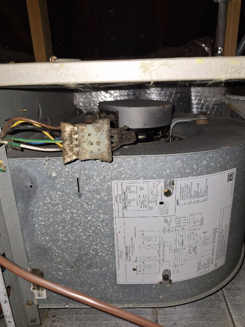 Carrier gas furnace and heat pump maintenance 