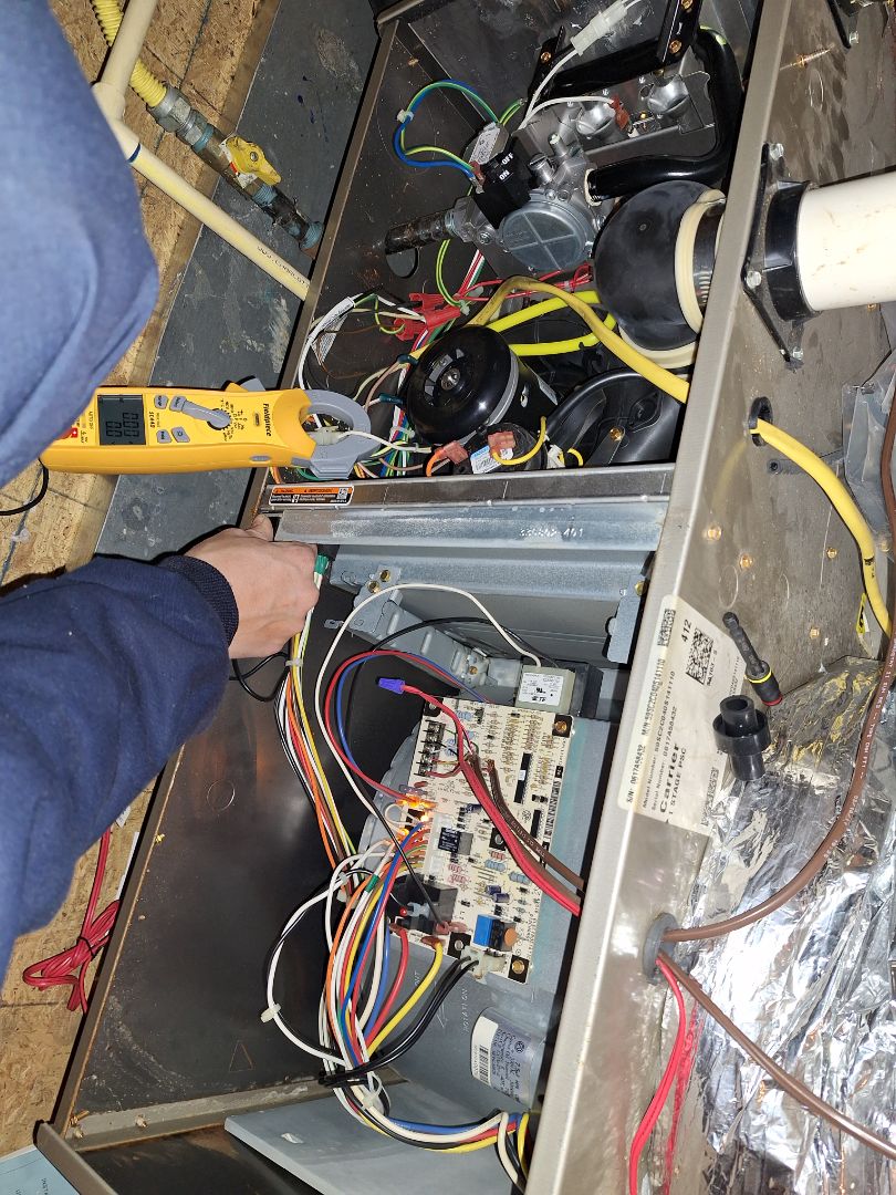 Carrier gas furnace and heat pump maintenance 