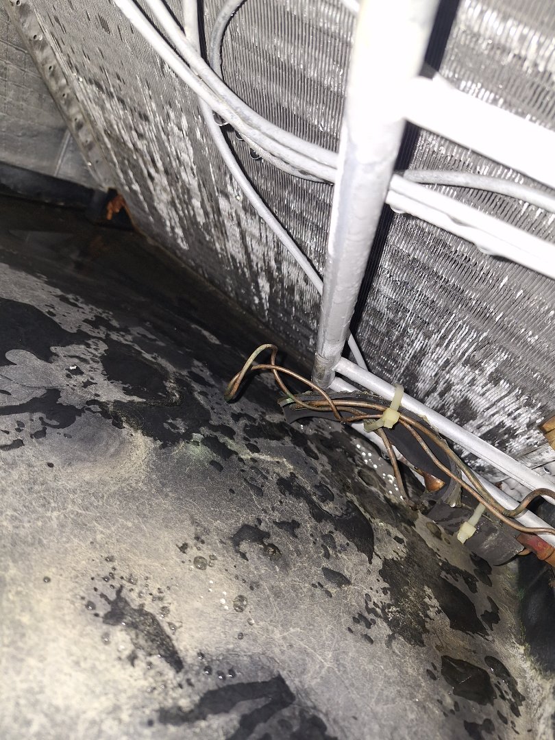 carrier ac maintenance 