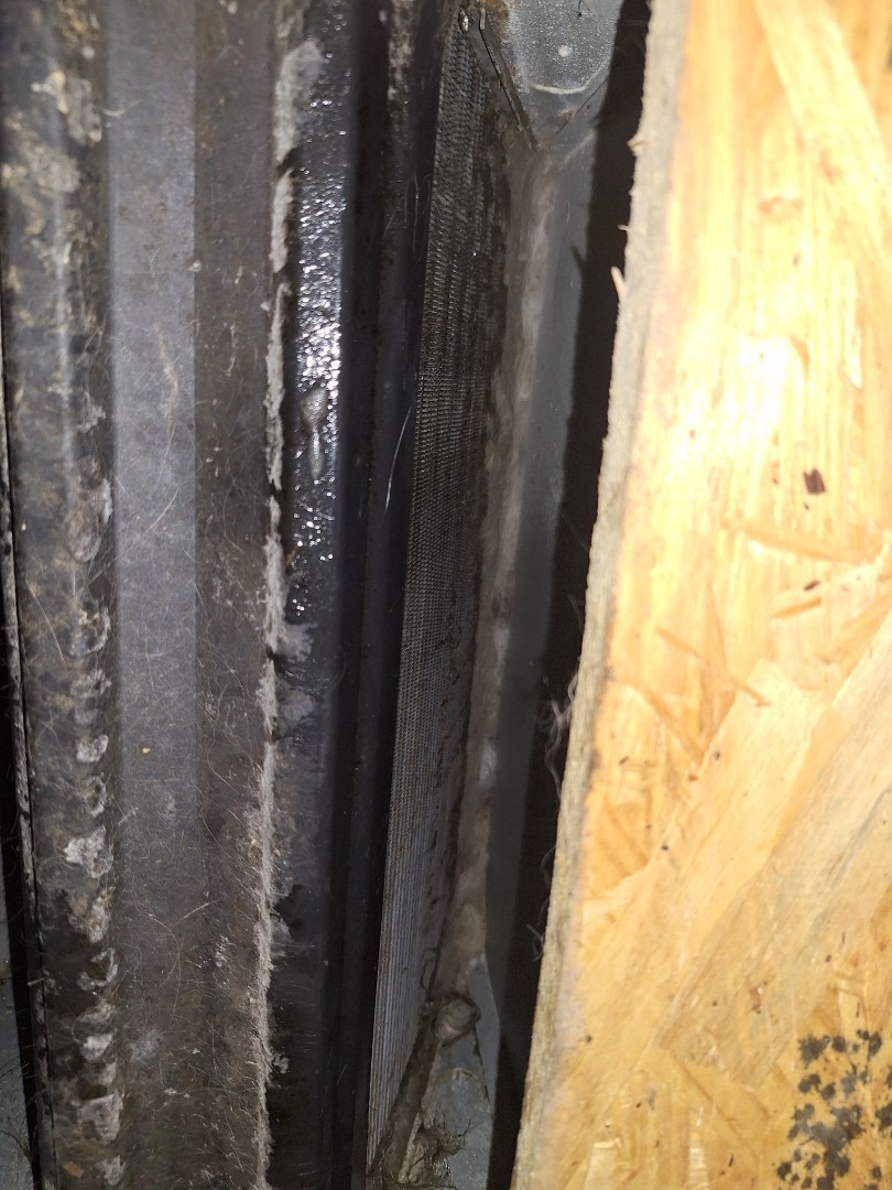 Goodman evap coil cleaning 