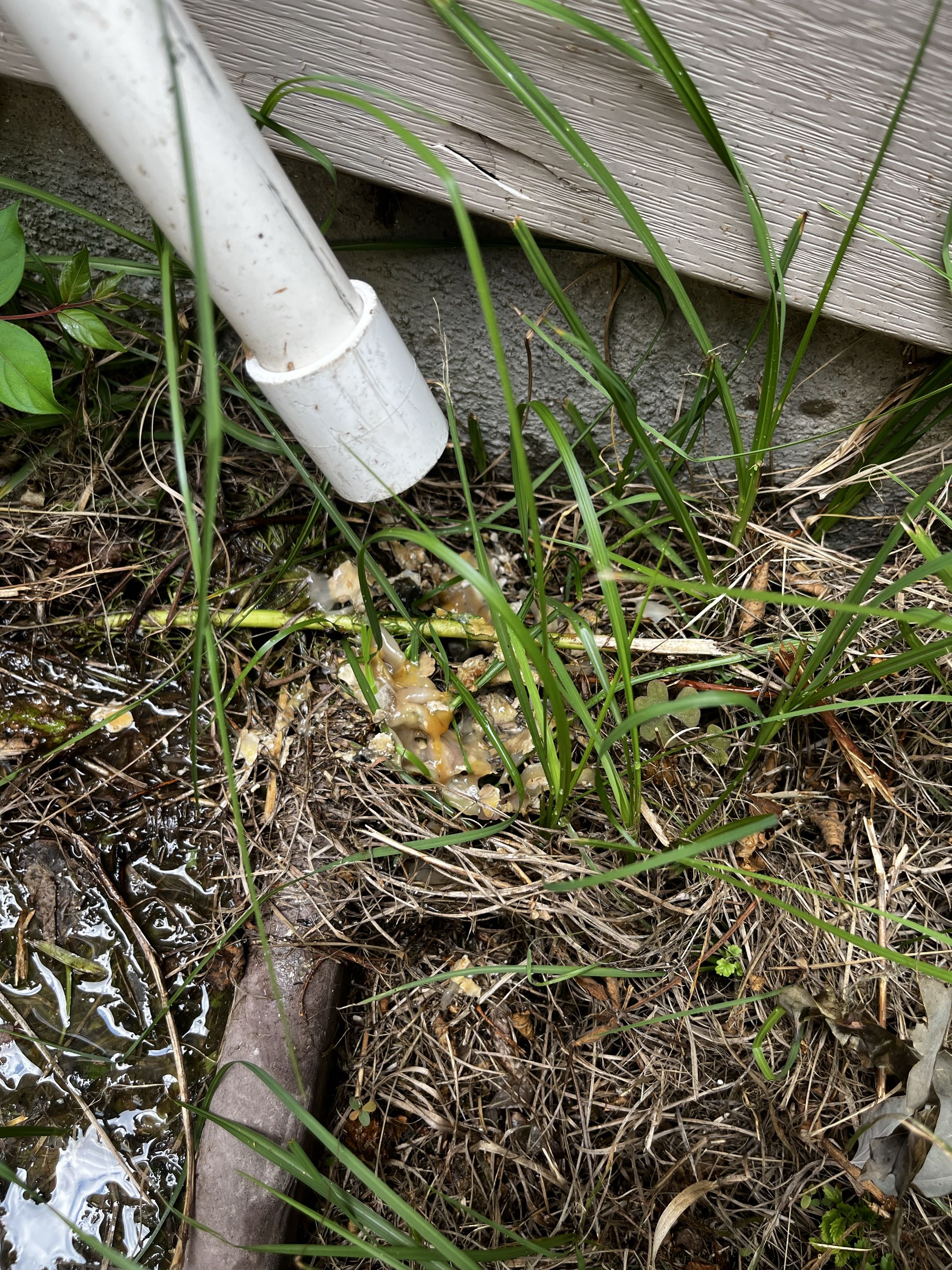 Goodman air conditioning repair and drain line clearing. 