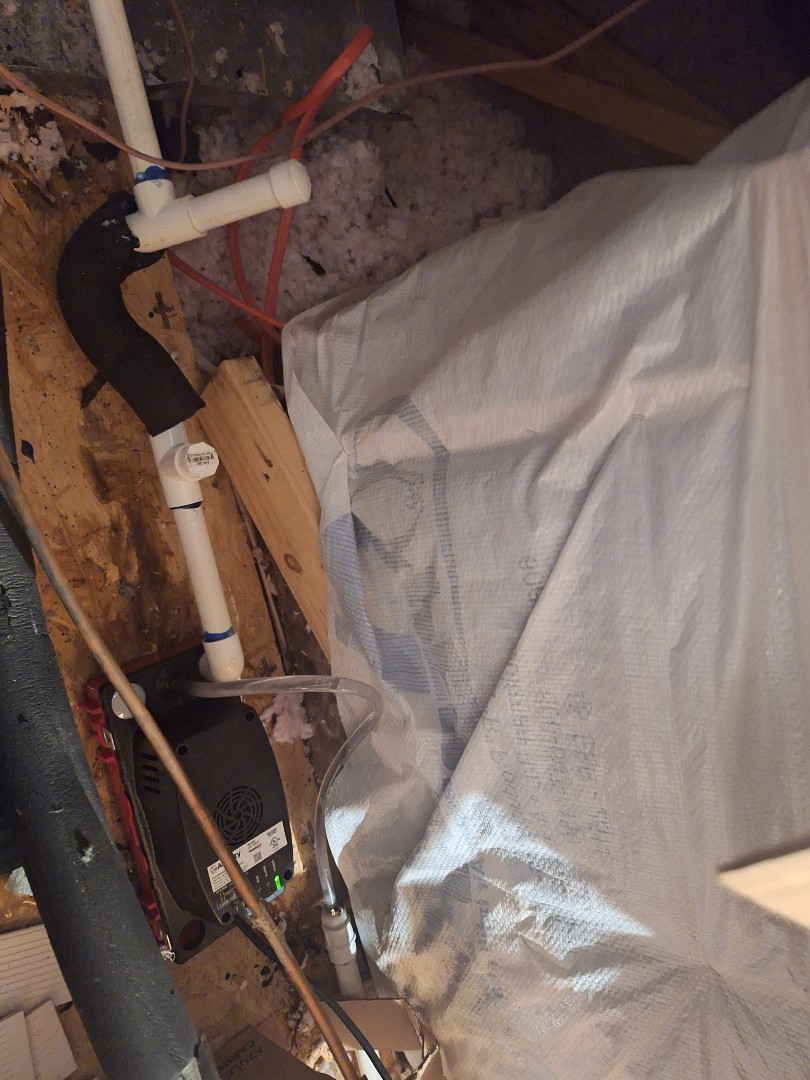 carrier condensate pump install