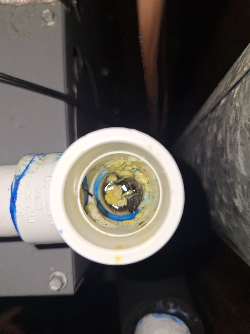 ducane ac diagnostic 