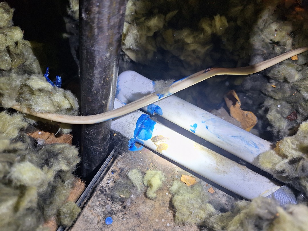 Drain line repair
