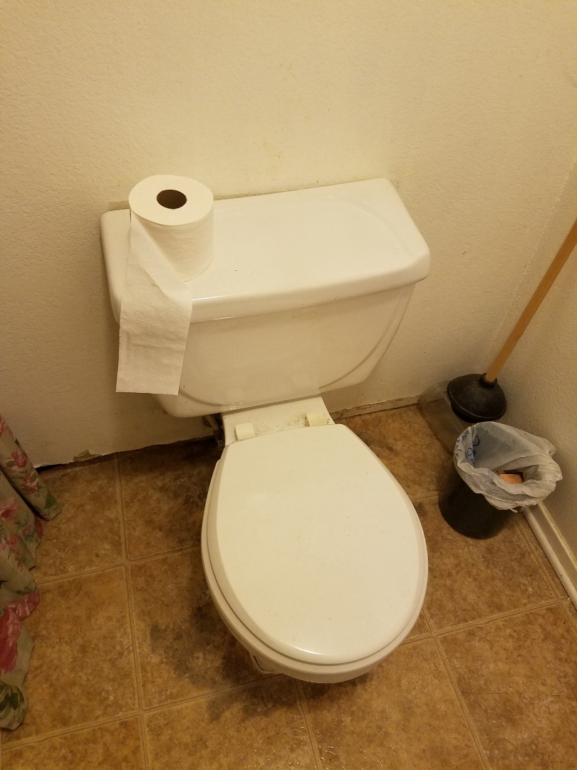 Toilet repair