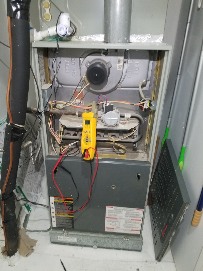 Furnace inspection