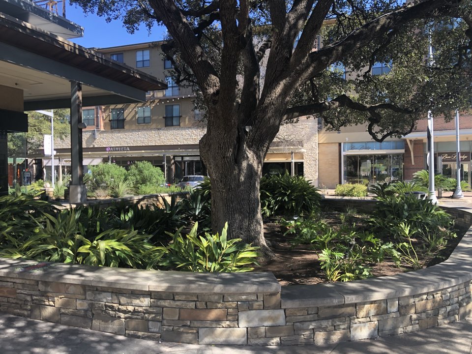Austin, TX - This commercial property in the domain will be getting LawnPop Artificial Turf to start saving water and money. Austin, TX - This commercial property in the domain will be getting LawnPop Artificial Turf to start saving water and money.