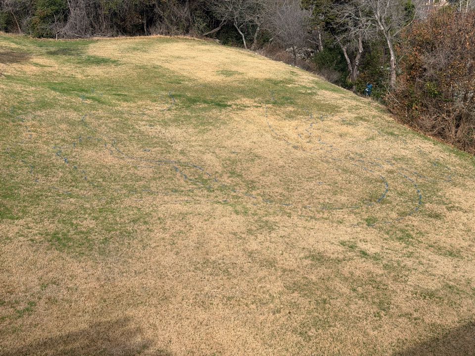 We are installing a LawnPop synthetic turf putting green in this backyard. 