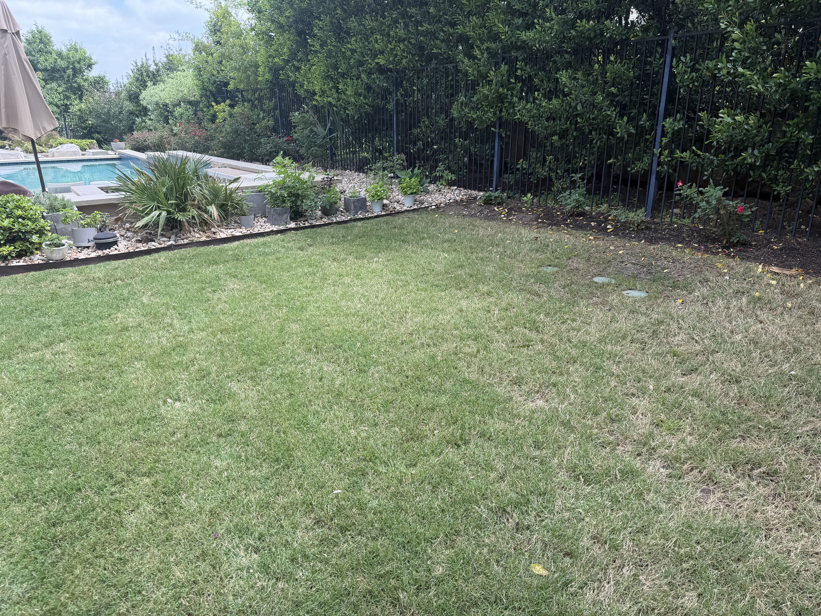 Austin, TX - Our next LawnPop synthetic grass putting green will be next to this amazing pool. 
