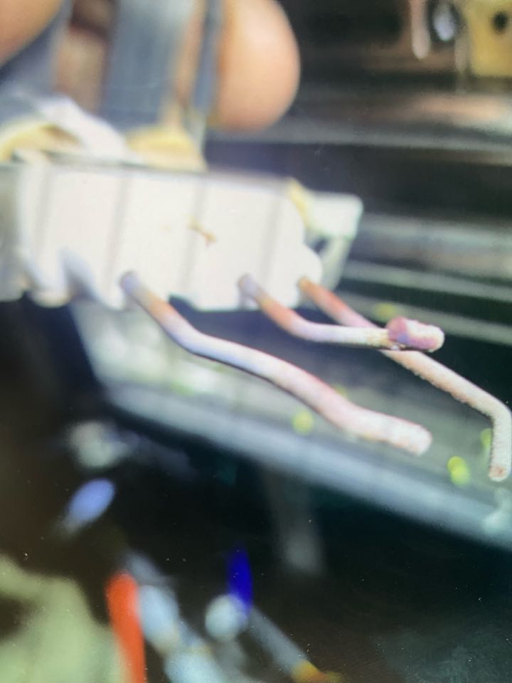 Performed tankless water heater diagnostic service