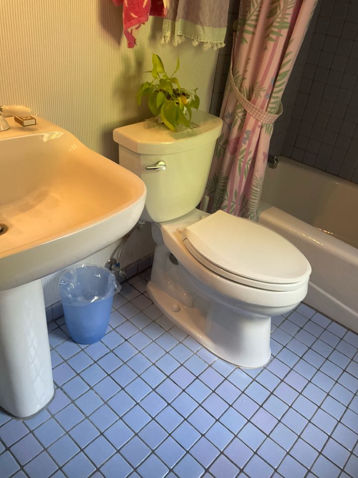 Flush valve 