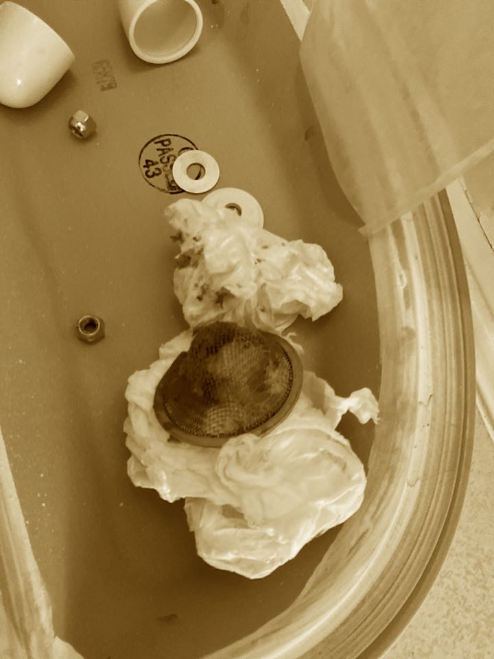 Cleared plugged toilet