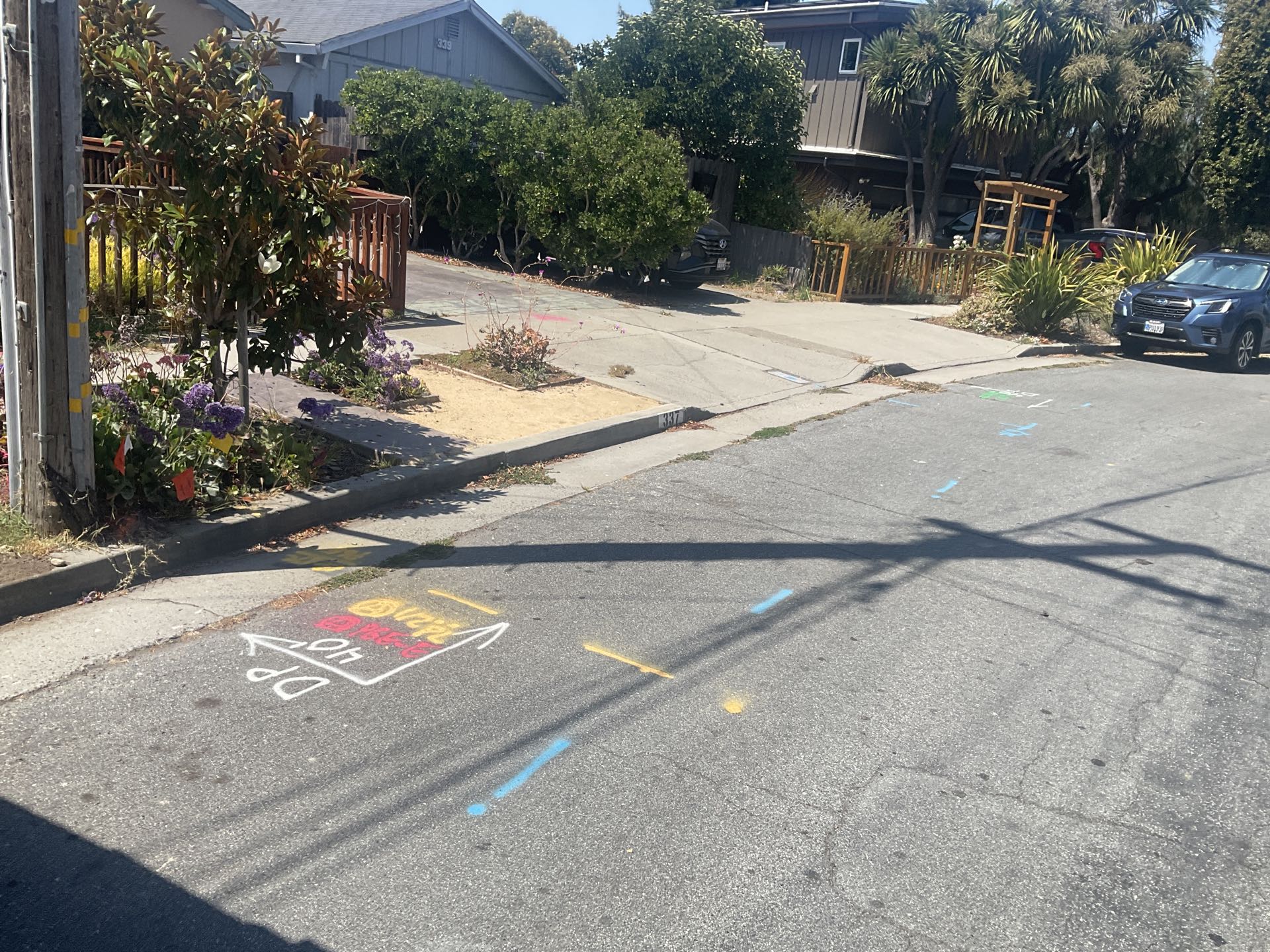 Santa Cruz, CA - Checked utility marking Santa Cruz, CA - Checked utility marking
