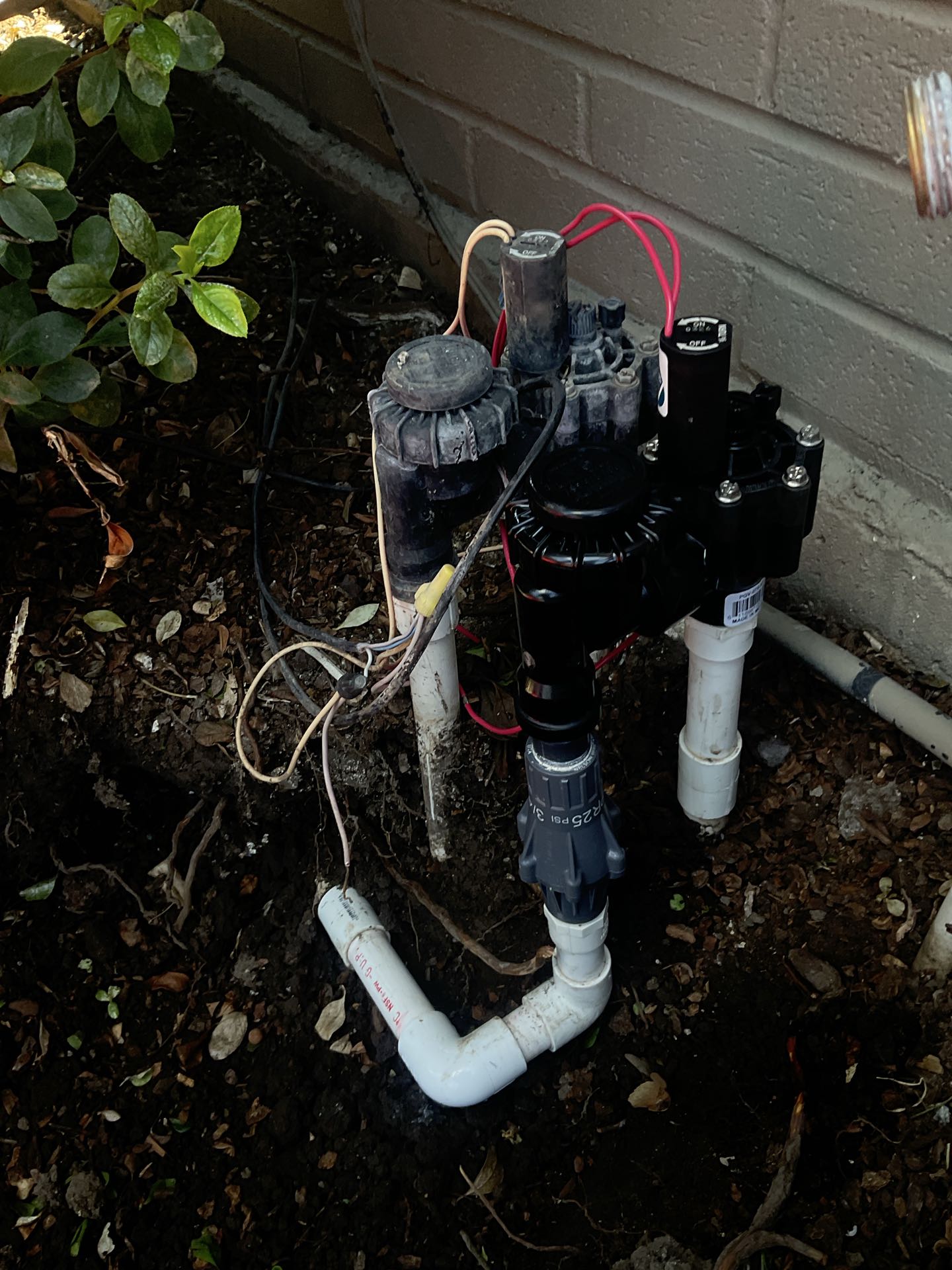 Santa Cruz, CA - Replaced sprinkler valve Santa Cruz, CA - Replaced sprinkler valve