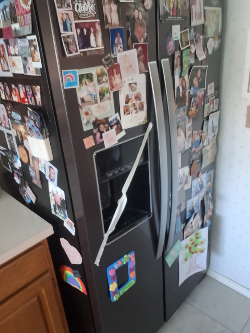 no water refrigerator repair 