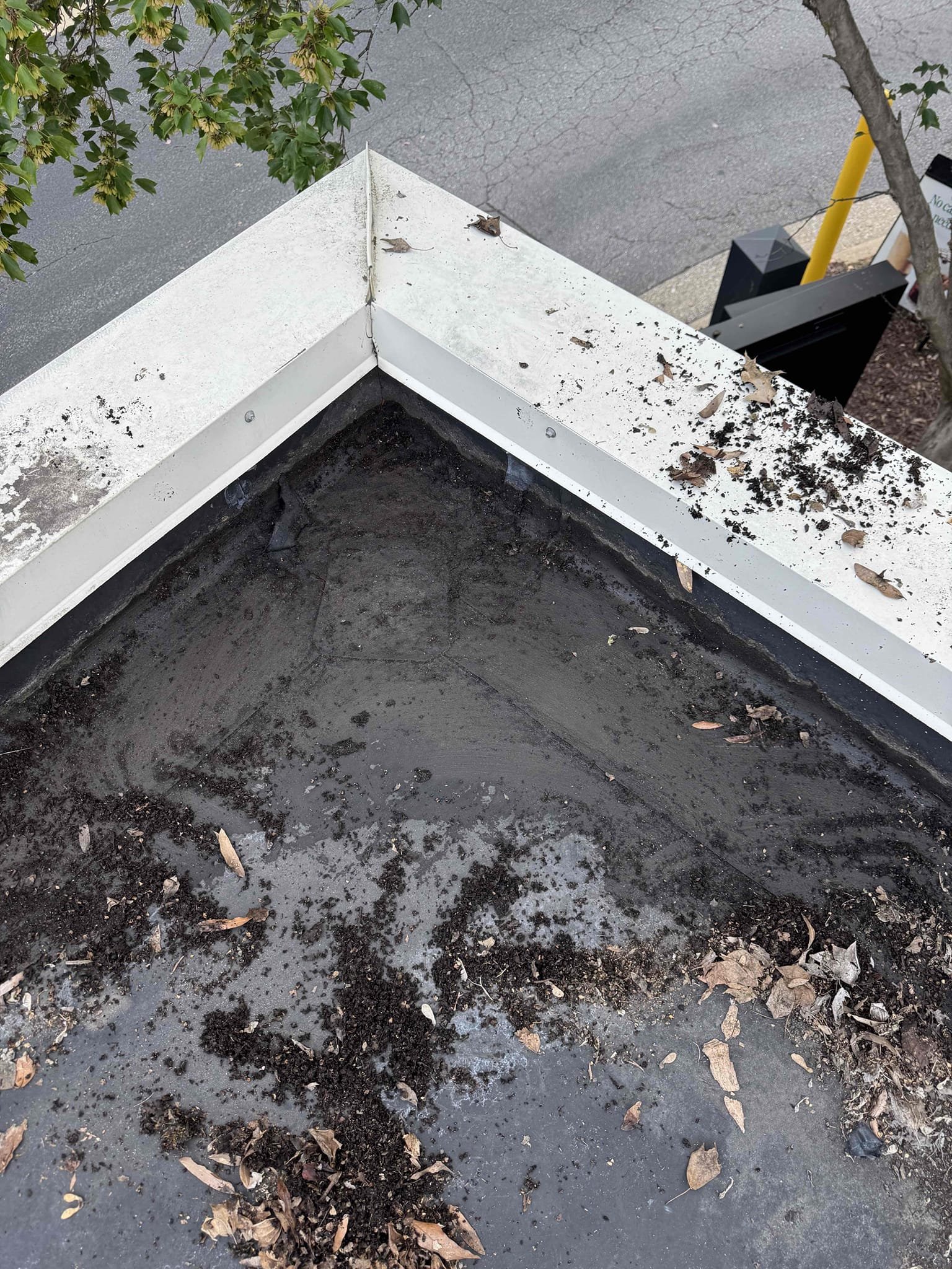 Upon inspection, I discovered a minor leak originating from the corner of the rooftop, which was seeping into the store. To address this, I accessed the ceiling and identified the precise location of the issue. I then climbed onto the rooftop, ensuring the area was clear to facilitate the roofer's work. Additionally, I took the opportunity to clean the roof drain grates while I was up there. This issue was located in the back right corner, to the right of the ladder when ascending. I signed for Tritton upon completion of these tasks.