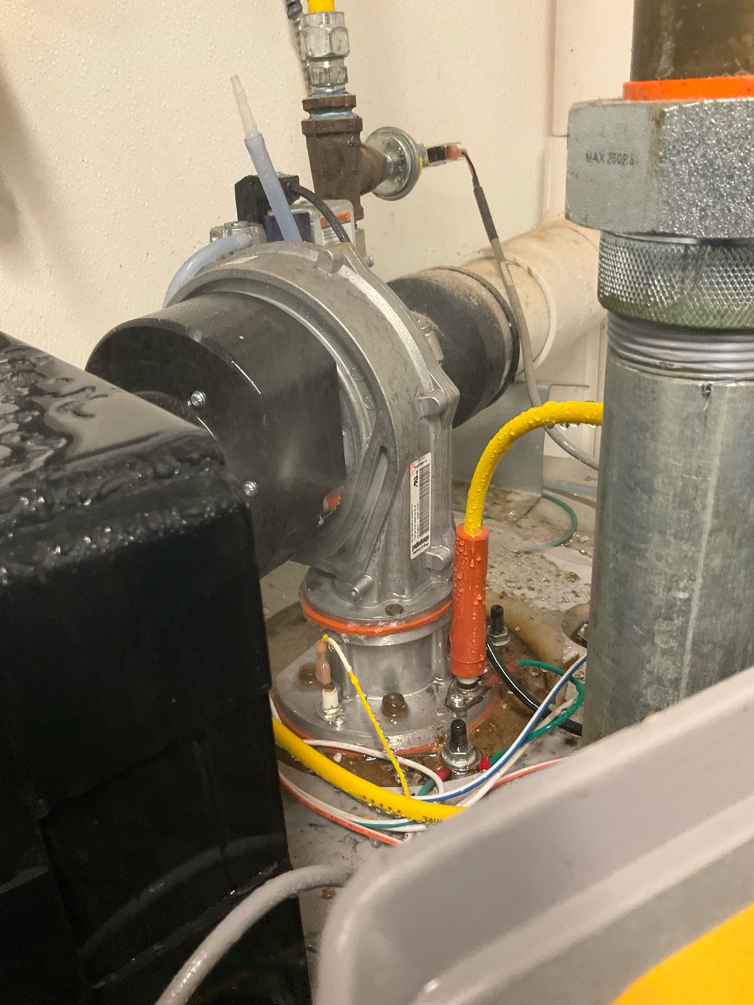 Upon arrival, I discovered extensive water damage in the basement, originating from the top of the water heater. A pinhole in the 1-1/2” Galvanized Nipple connected to the water heater's outlet was spraying water onto the Blower Fan Motor, causing it to fail. I shut off the water and power supply to the water heater to prevent further damage. I contacted the homeowner to inform them of the situation. After assessing the damage, I determined that a replacement Blower Motor Assembly and possibly a Gas Valve would be needed. I picked up the necessary parts and delivered the old water heater to the store for proper disposal. The system should be fully operational once the new parts are installed.