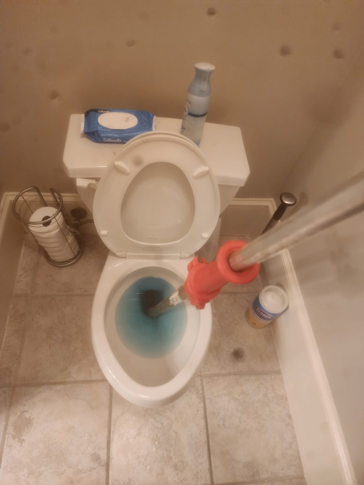 Cleared toilet clog