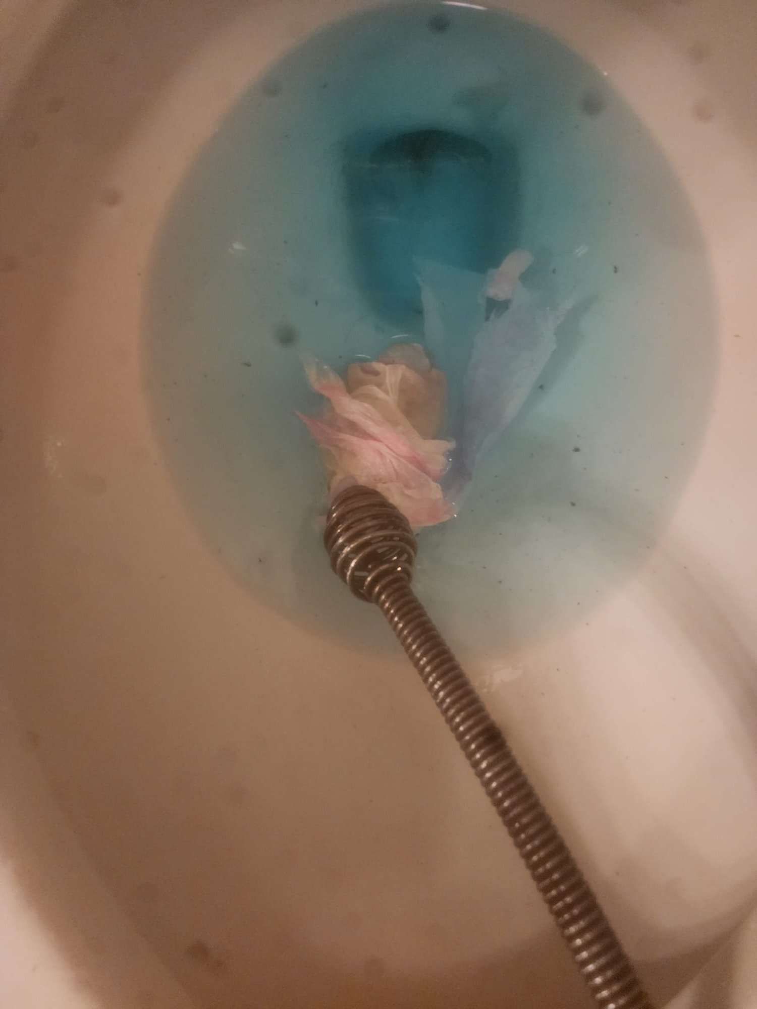 Cleared toilet clog