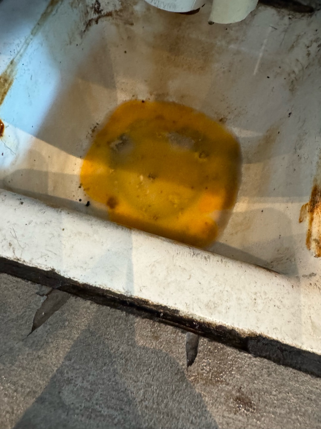 Upon arrival, I assessed the drains and noticed slow flow. I began by flooding the drains with hot water. Upon inspection, I found olive oil in the floor sinks. I opened the grease trap lid and observed the flow, then opened the clean-out at the front counter. I added cleaner and flushed with hot water, followed by running my medium machine down the line to remove clogs. I continued pouring five-gallon buckets of hot water until achieving a clear flow outside the grease trap baffle. I also flushed the floor sinks with hot water to remove grime. The drains are now flowing well, but a professional jetting is recommended.