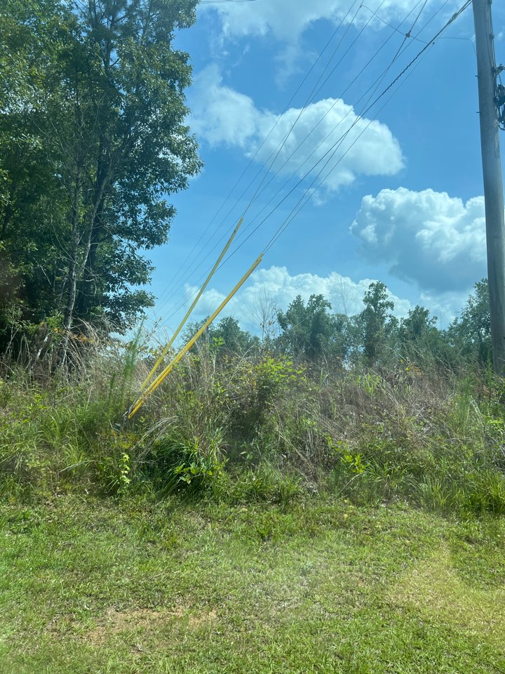 Deep clean near county rd 40 in Rockford al