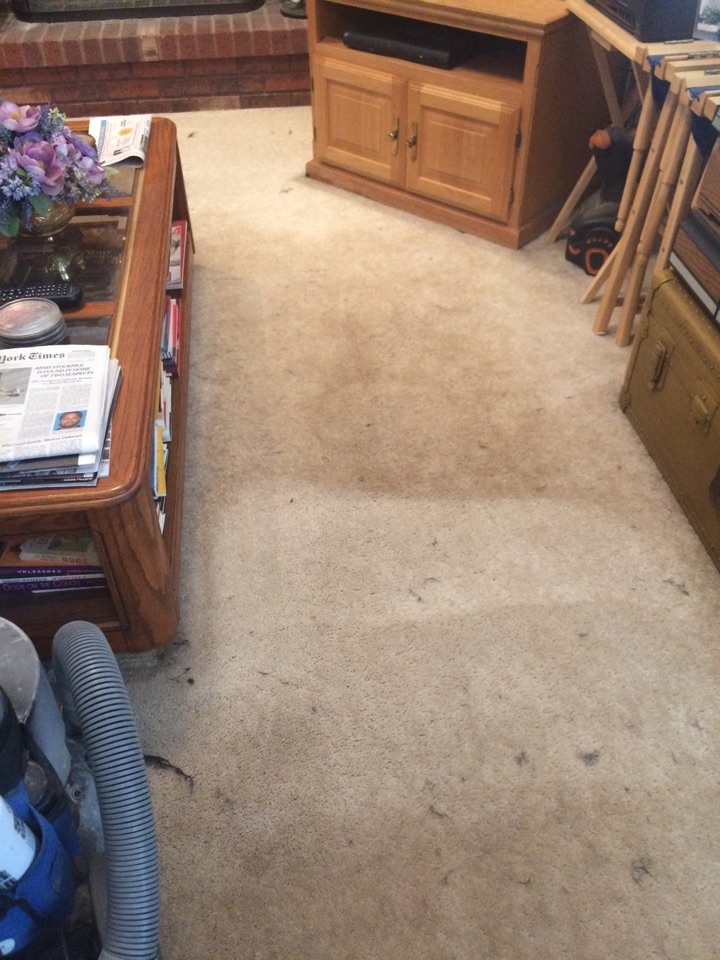 Ogden Utah Carpet Cleaning Services Green Cleaning