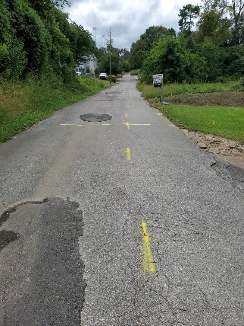 Topographic Survey for drainage and right of way issues in Vestavia Hills.