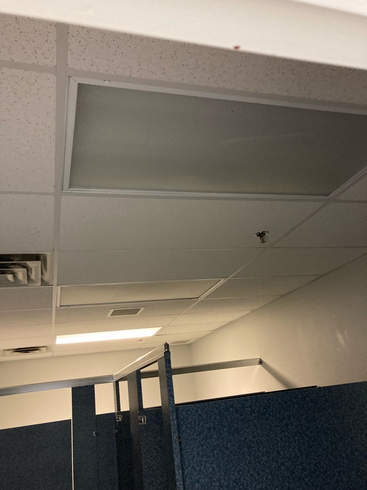 Replacing lamps and ballasts Replacing lamps and ballasts